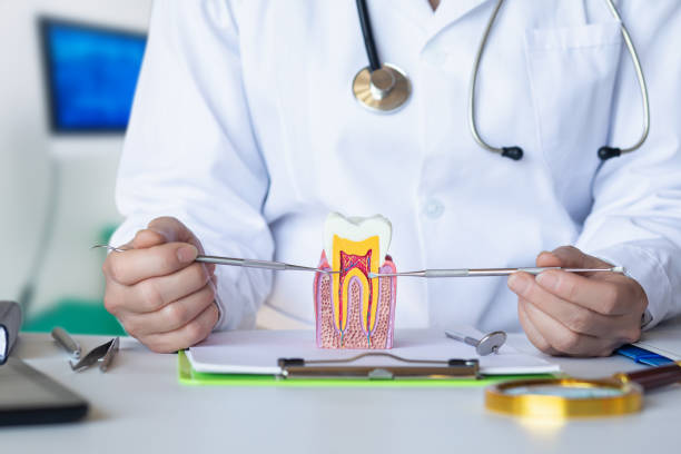 Best Emergency Dental Care for Broken or Chipped Teeth in Anthony, TX